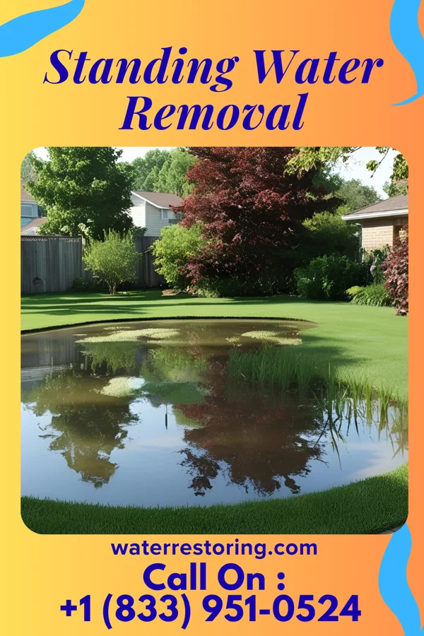 Standing Water Removal in Herriman, UT